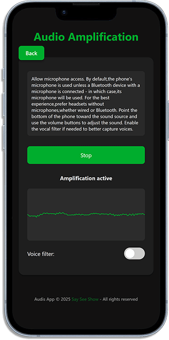 Снимок экрана усиления звука в Audis App