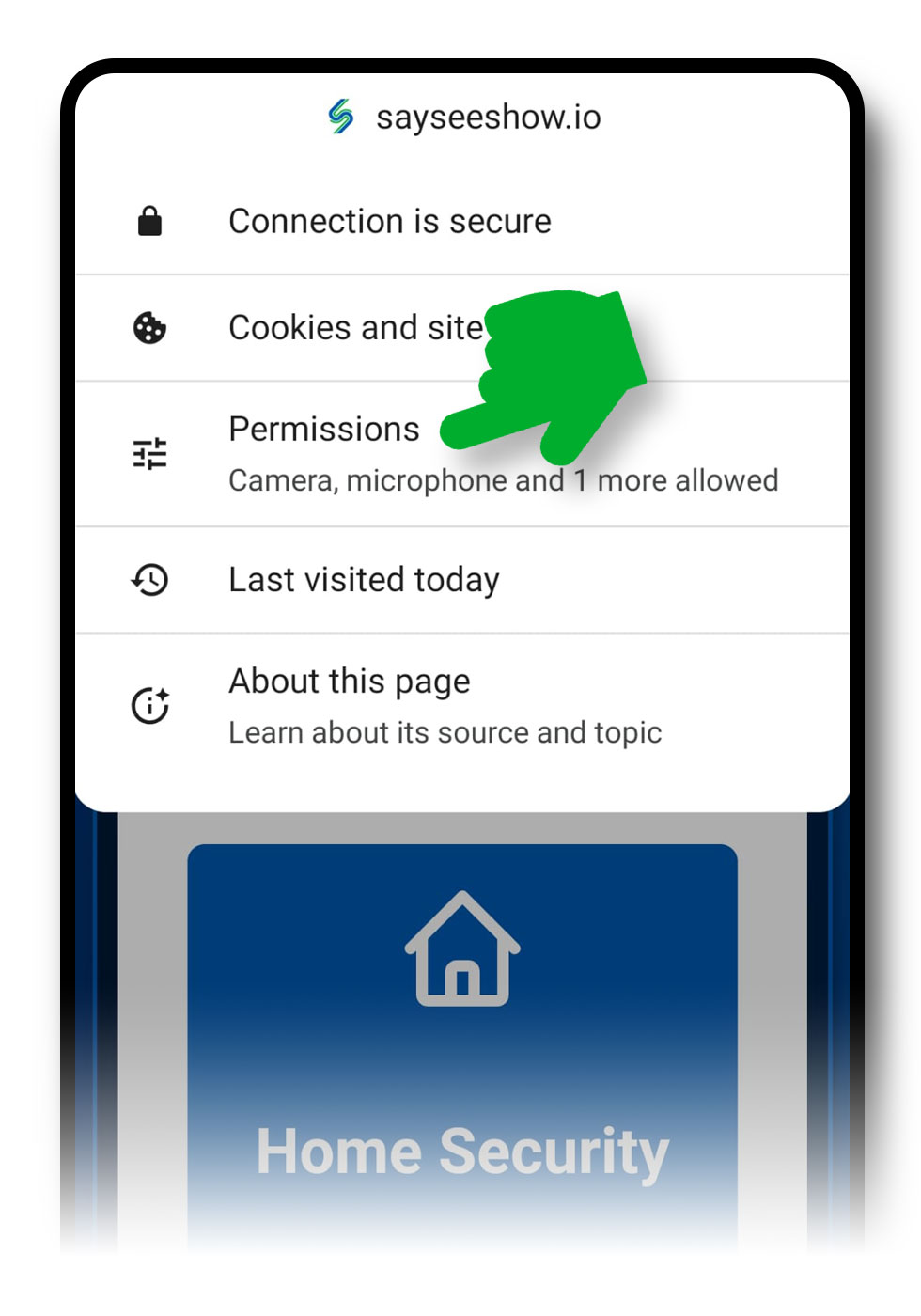 Меню настроек браузера, открытое на сайте sayseeshow.io