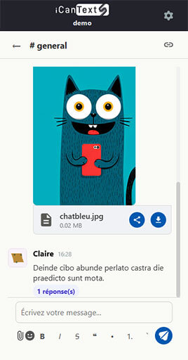 Канал #general в iCanText: опубликованное изображение, общий файл и ответ в ленте